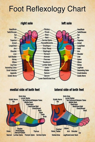 Reflexology foot massage chart - reflexology,